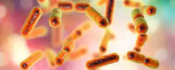 What is Mitochondrial coxiella effector F (MceF)?