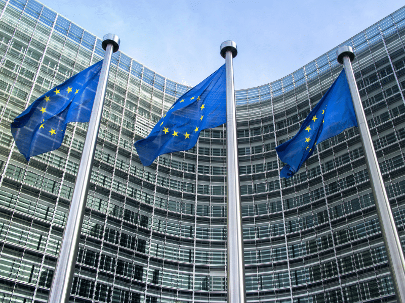 What is the European Union’s Foreign Subsidies Regulation (FSR)?