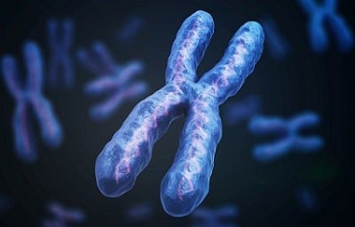 What is Y chromosome?