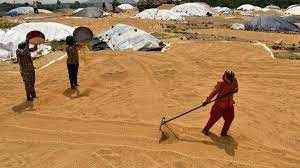 World’s Largest Grain Storage Plan: Centre to Implement Pilot Project in 10 Districts