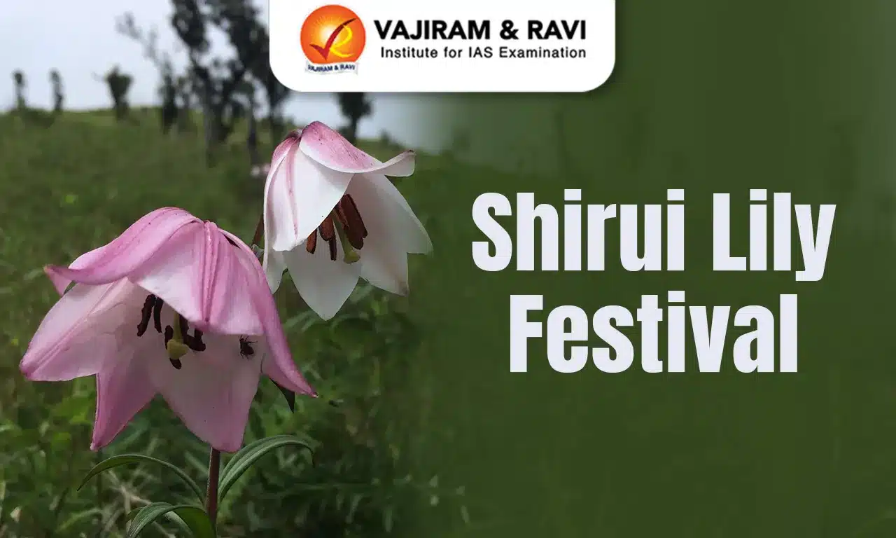 Shirui Lily Festival,