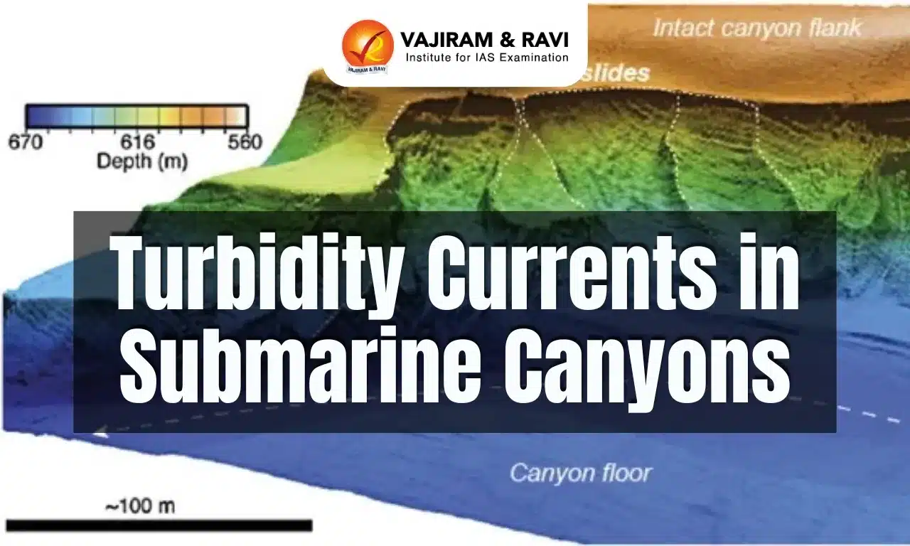 Turbidity Currents in Submarine Canyons