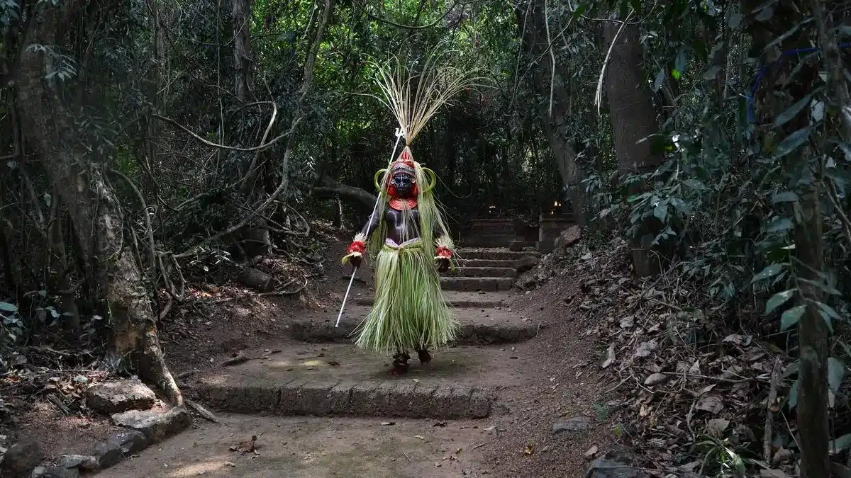Supreme Court Urges Comprehensive Policy for Sacred Groves