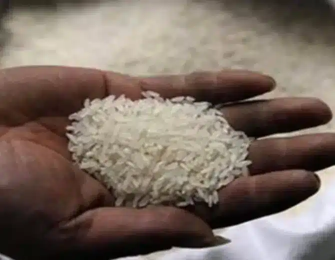 India Rice Production