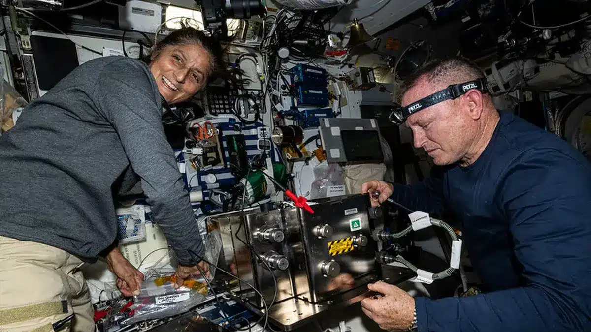 What does Spaceflight do to the Human Body?