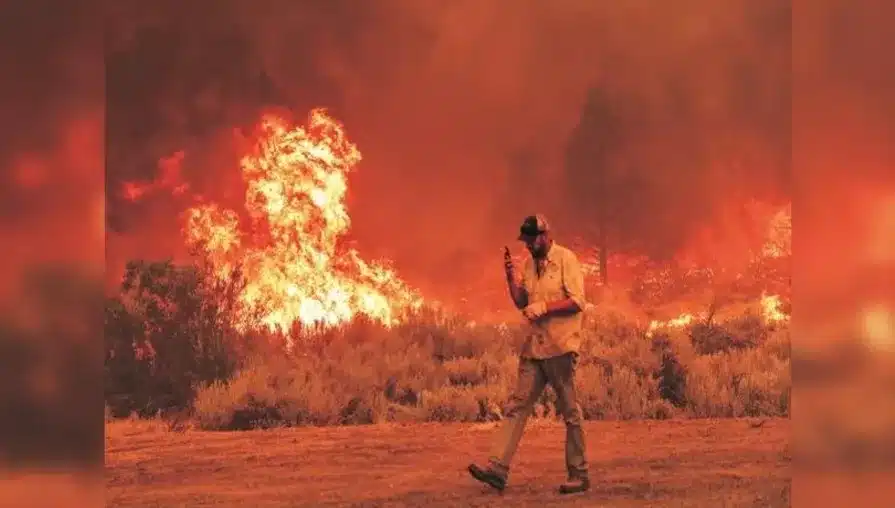 Wildfire Pollution: 1.5 Million Global Deaths Annually – Impacts and Solutions