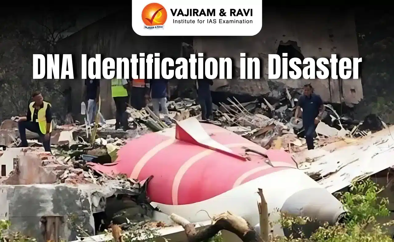 DNA Identification in Disaster
