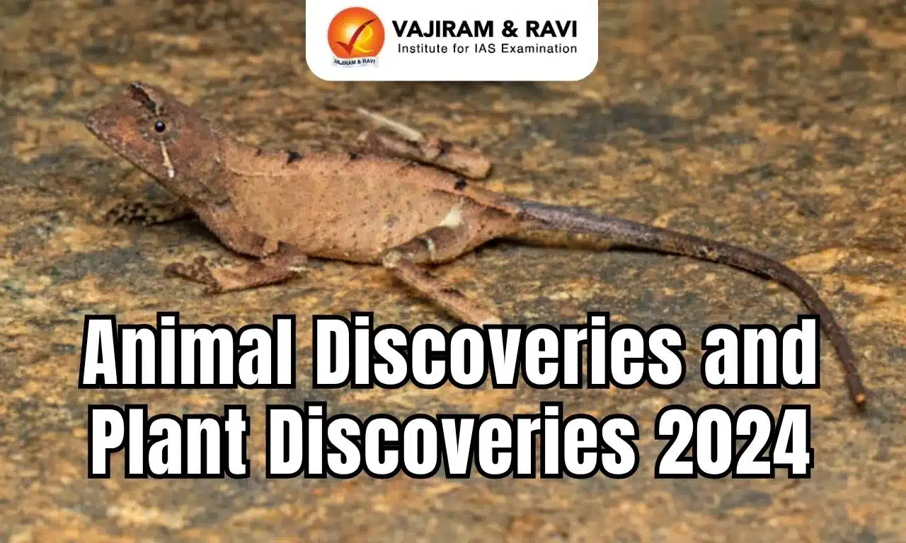 Animal Discoveries and Plant Discoveries 2024