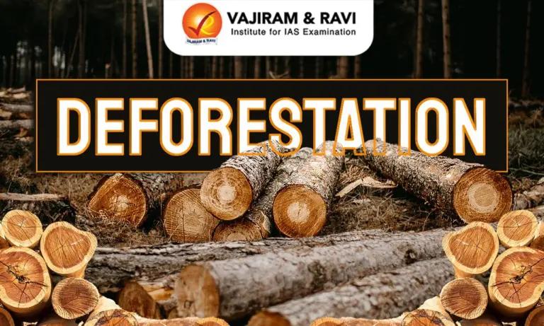 Deforestation