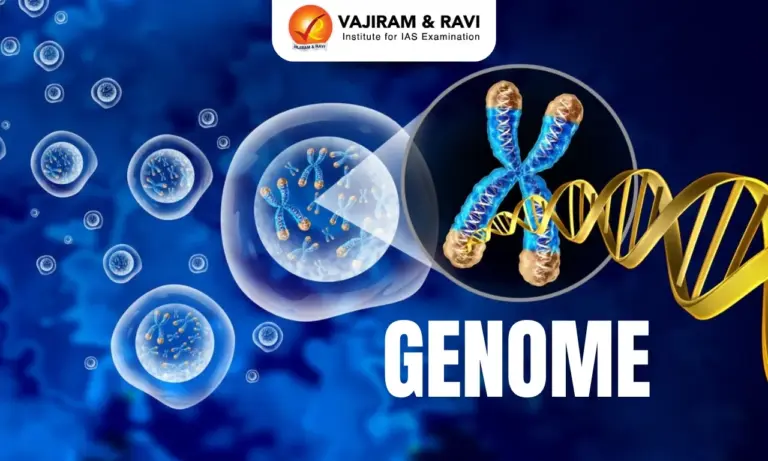 Genome