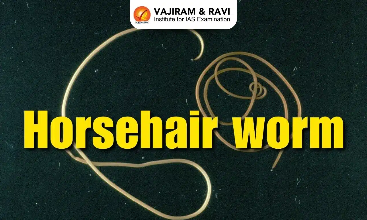 Horsehair Worms