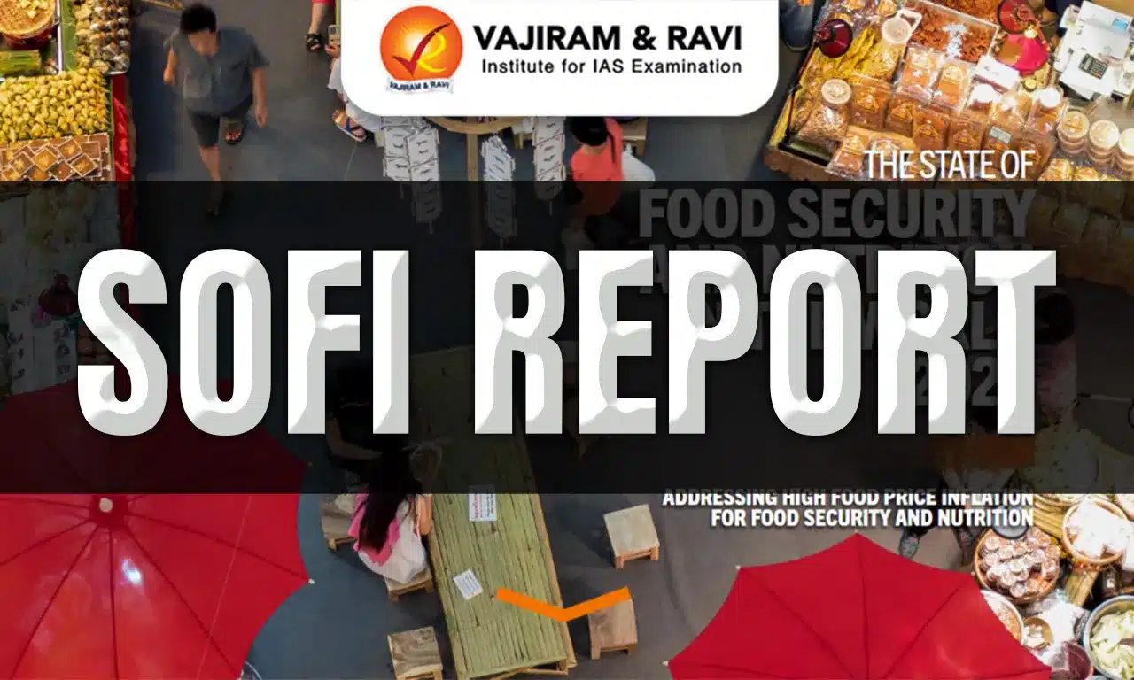 SOFI Report 2025