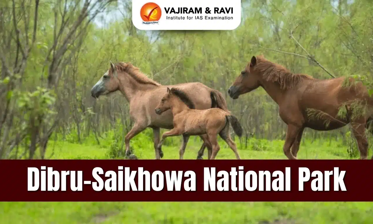 Dibru Saikhowa National Park