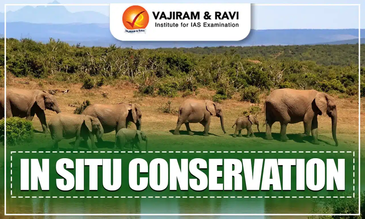 In Situ Conservation