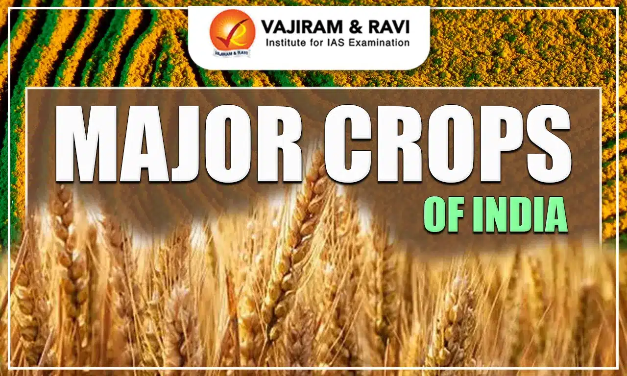 Major Crops of India
