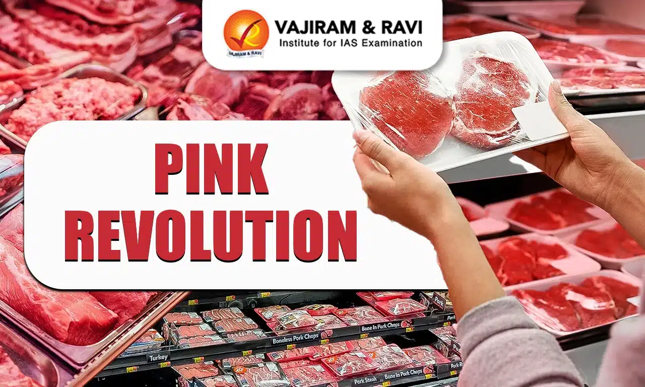 Pink Revolution