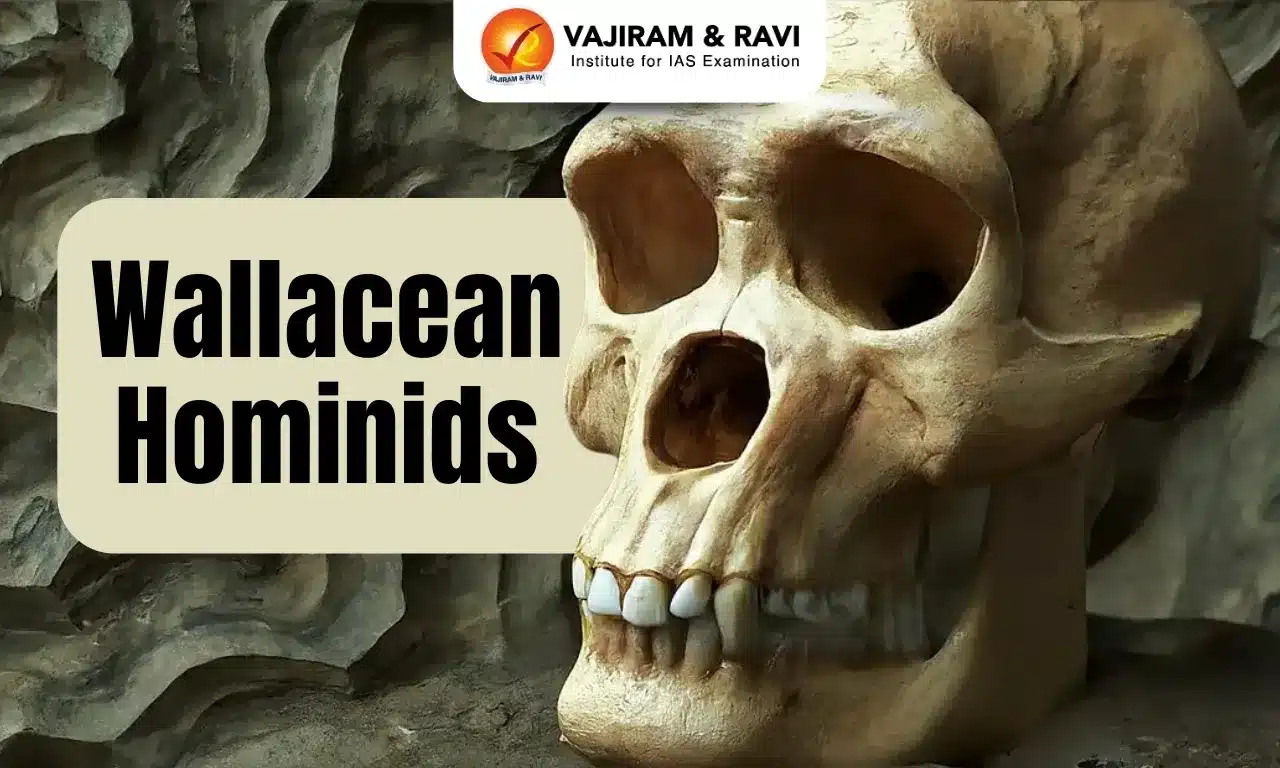 Wallacean Hominids