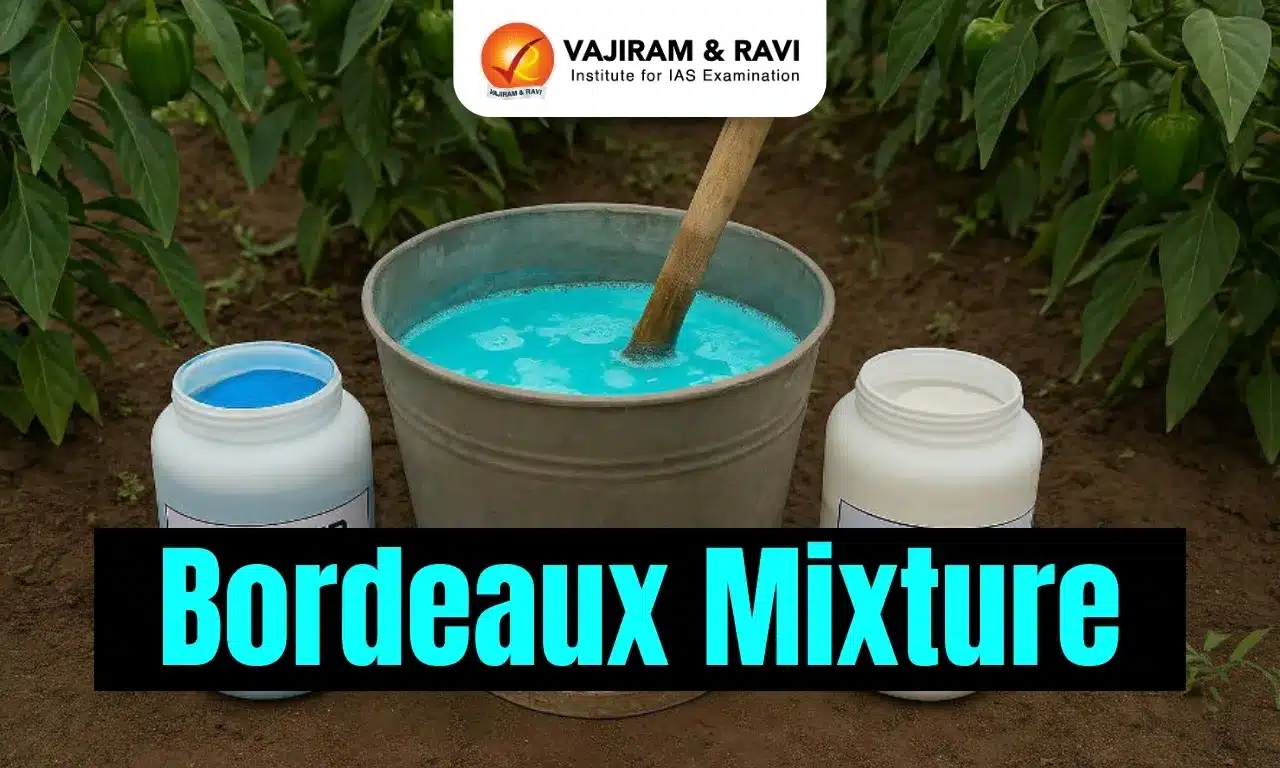 Bordeaux Mixture