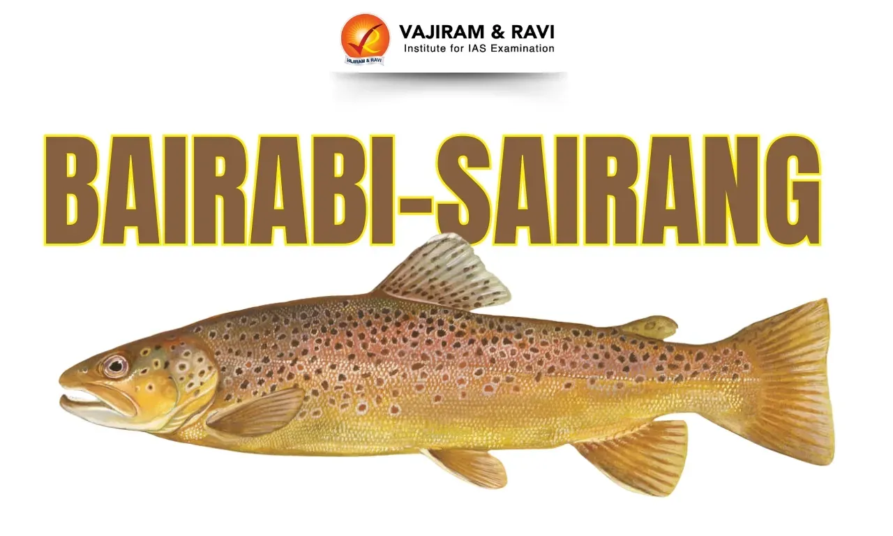Brown Trout