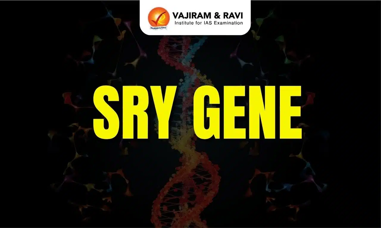 SRY Gene