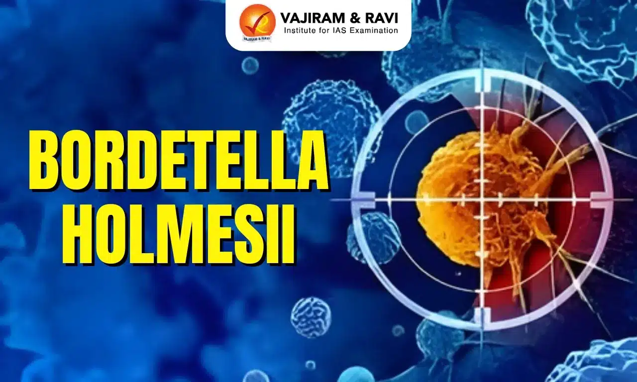 Bordetella holmesii
