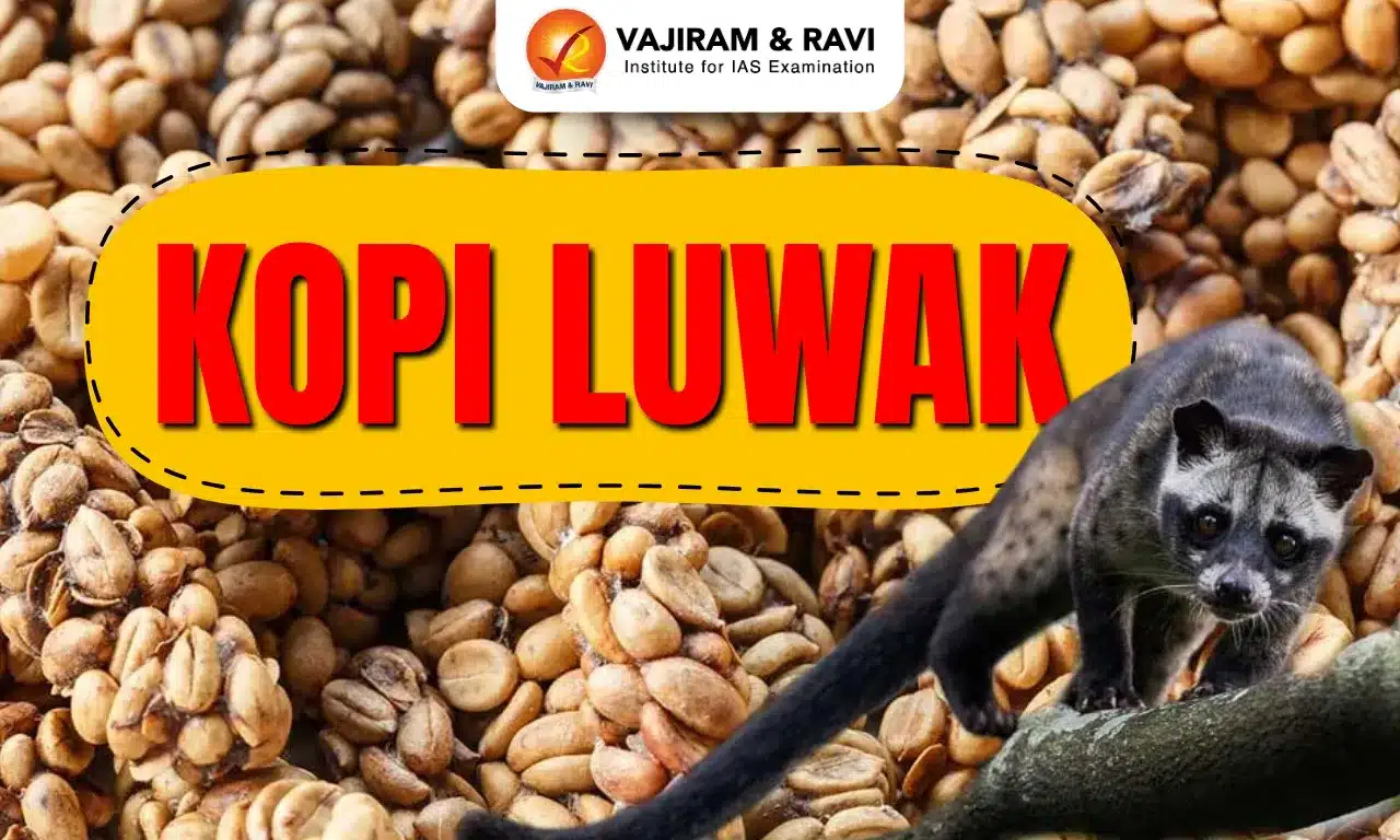 Kopi Luwak