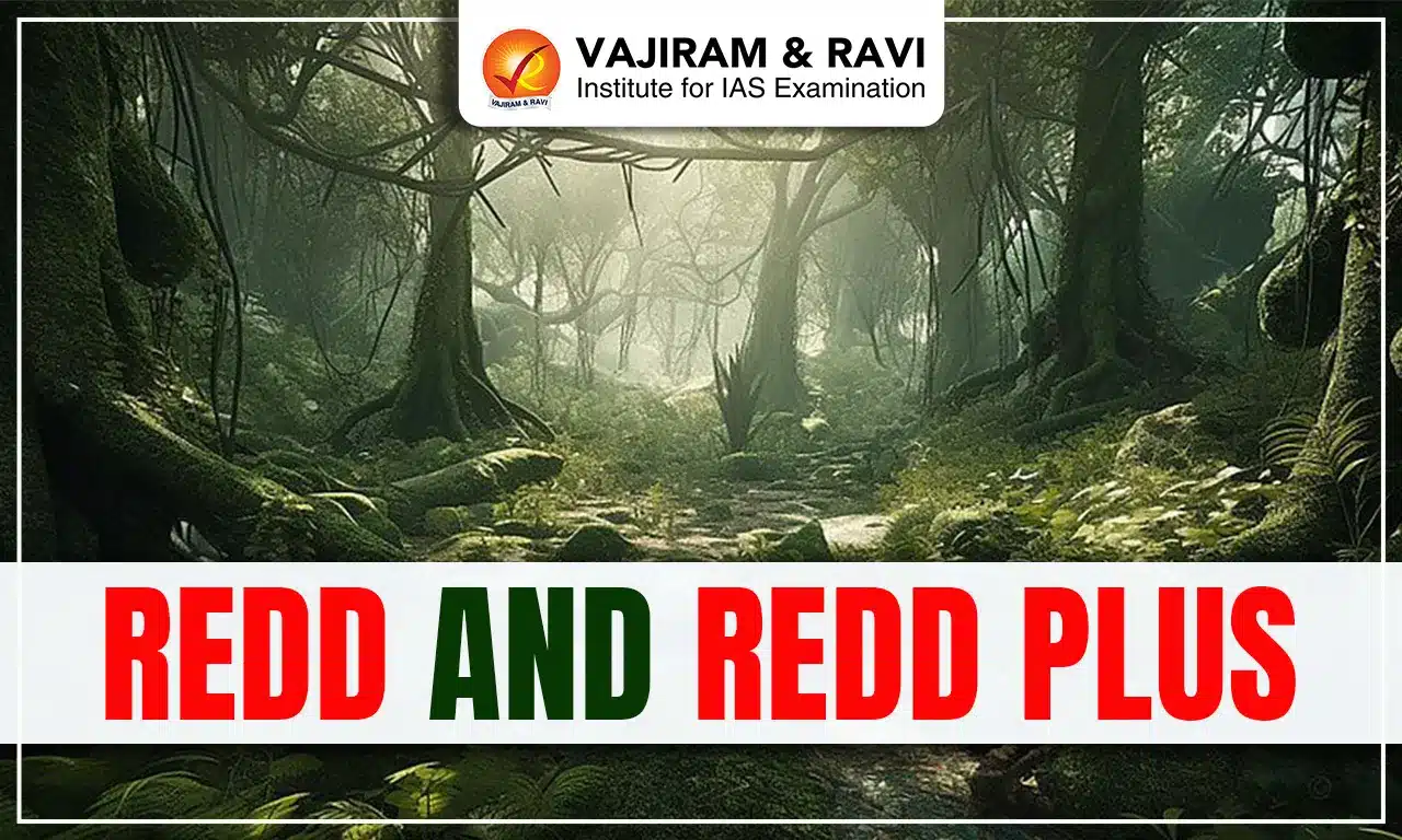 REDD and REDD Plus