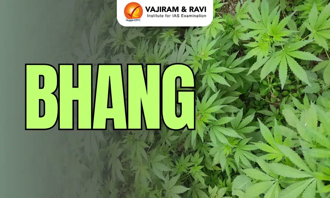 Bhang
