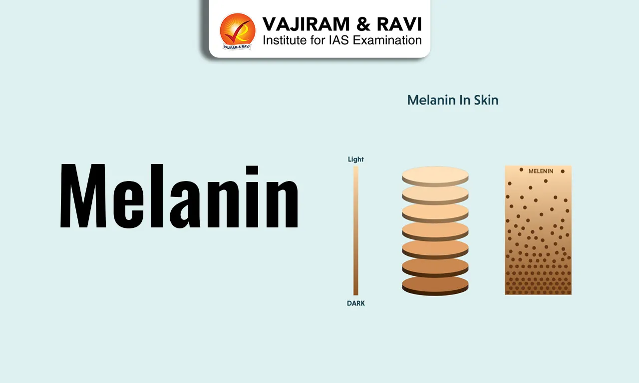 Melanin
