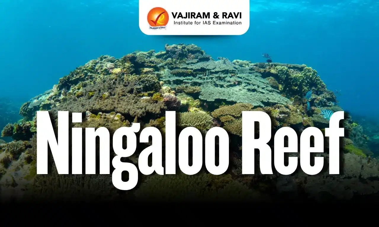 Ningaloo Reef
