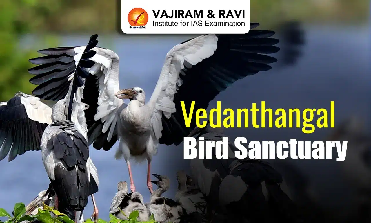 Vedanthangal Bird Sanctuary