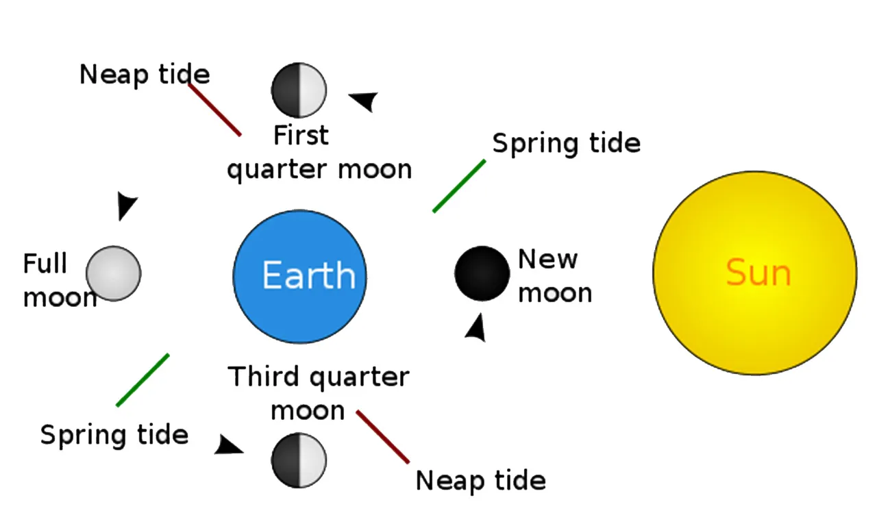 Types of Tides