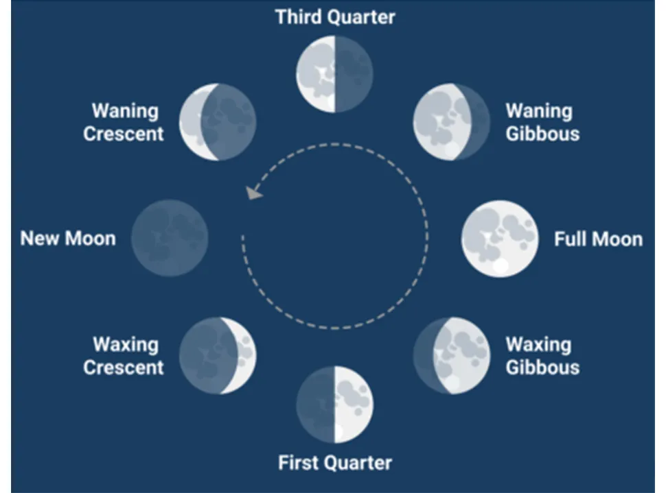 Phases of the Moon