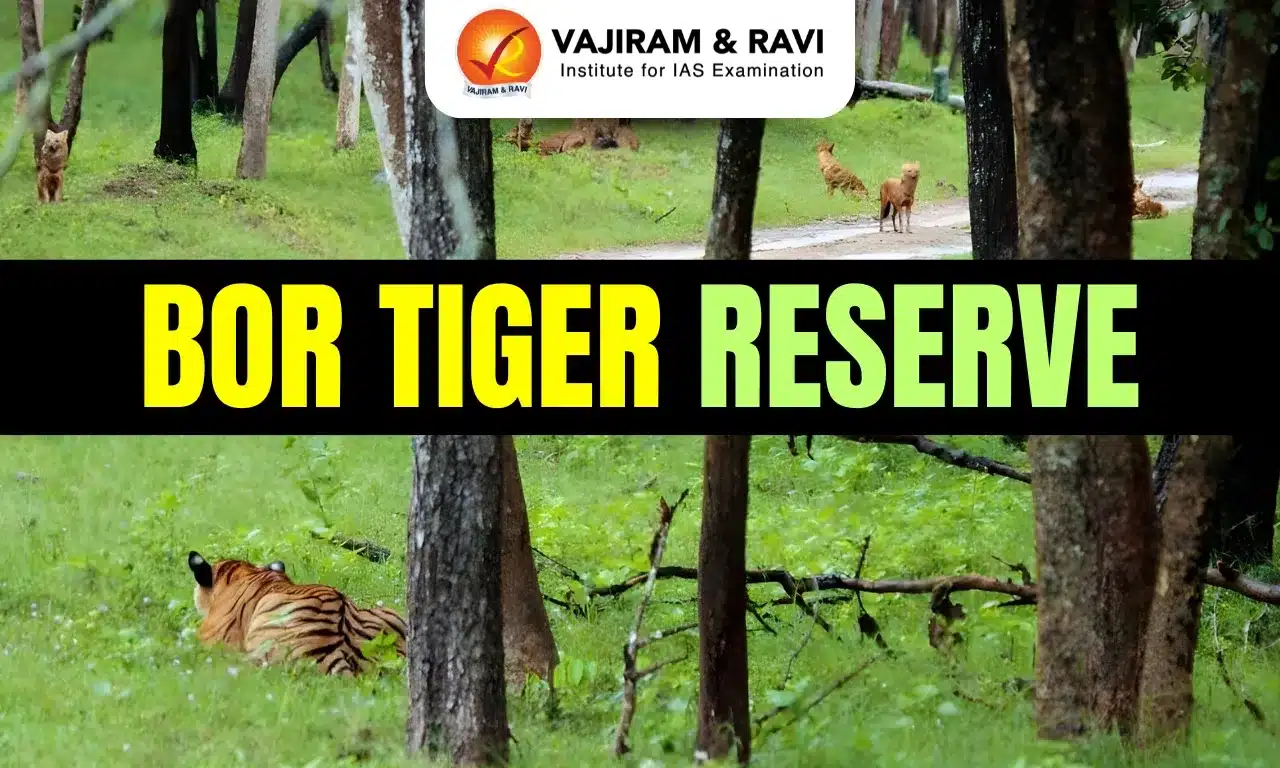 Bor Tiger Reserve