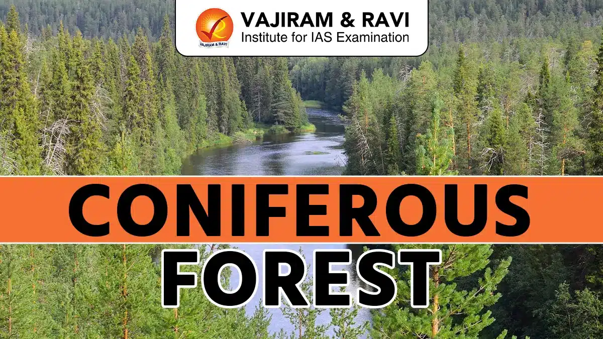 Coniferous Forest
