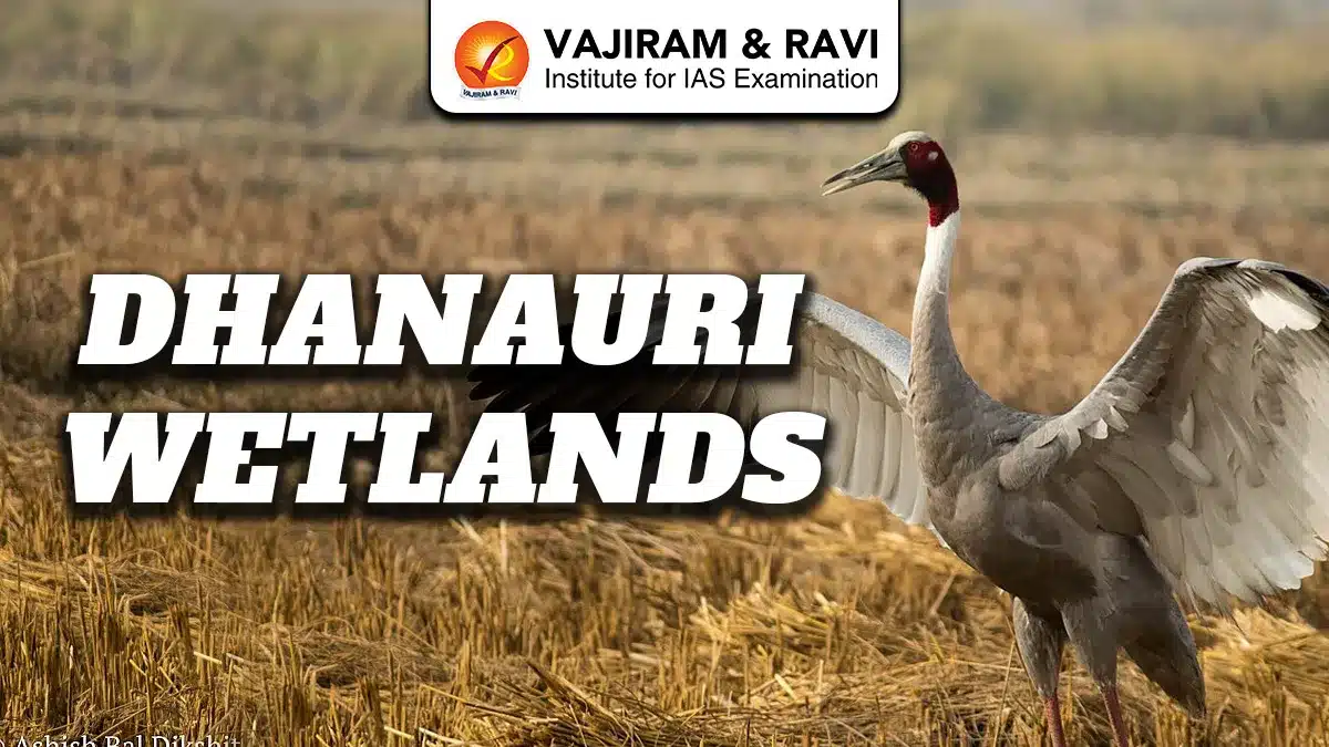 Dhanauri Wetlands