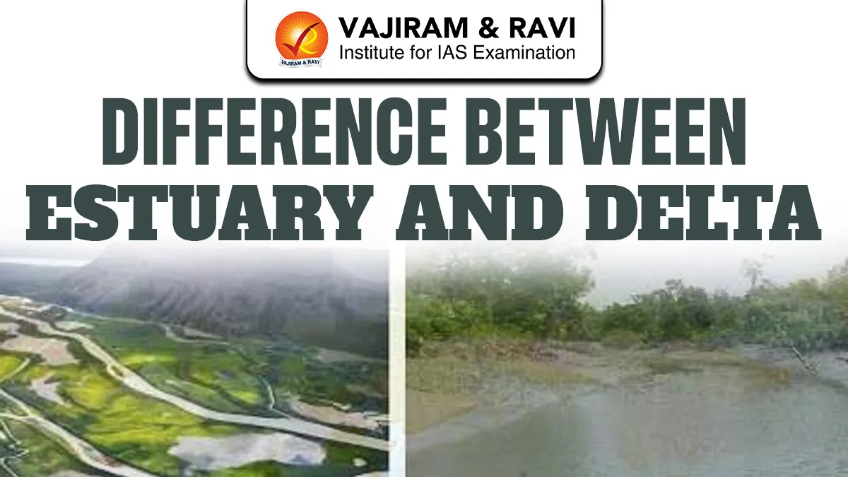 Difference Between Estuary and Delta
