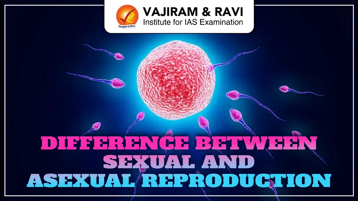 Difference between Sexual and Asexual Reproduction