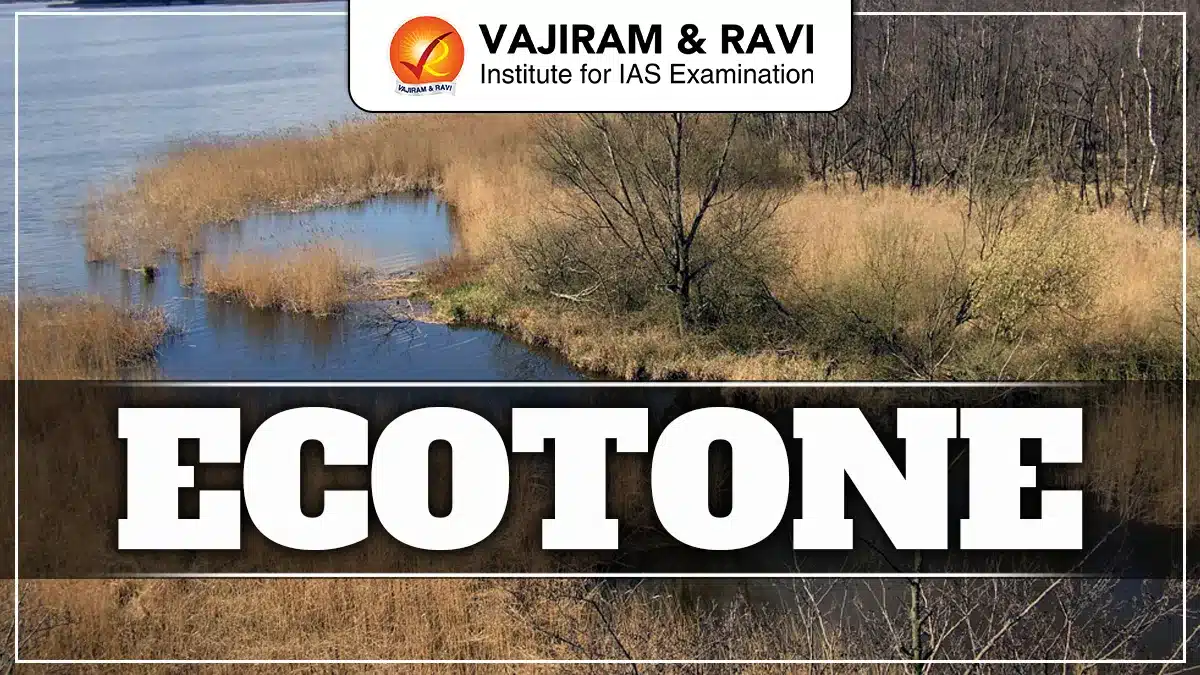 Ecotone