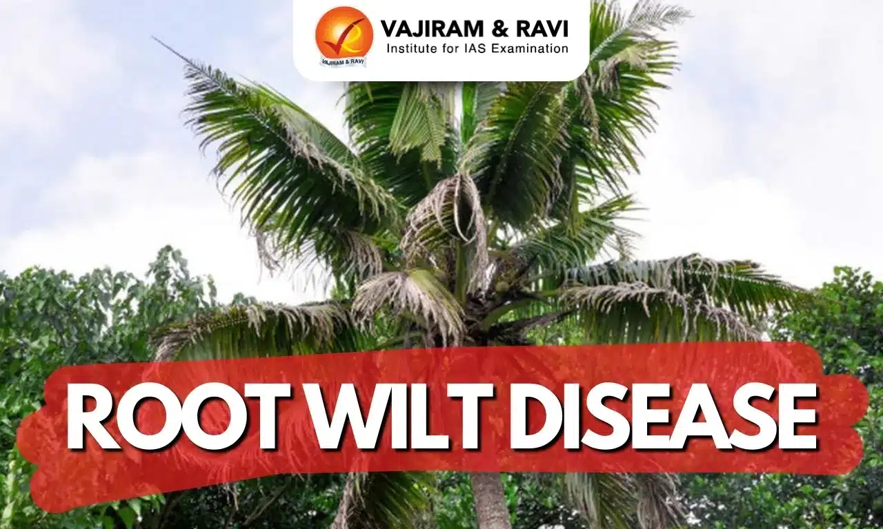 Root Wilt Disease