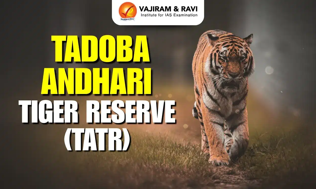 Tadoba-Andhari Tiger Reserve (TATR)