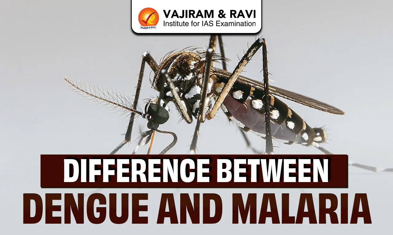 Difference Between Dengue and Malaria