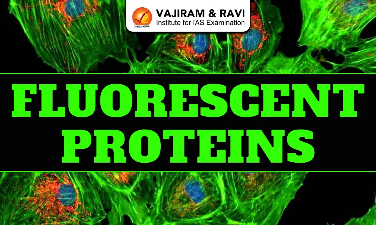 Fluorescent Proteins