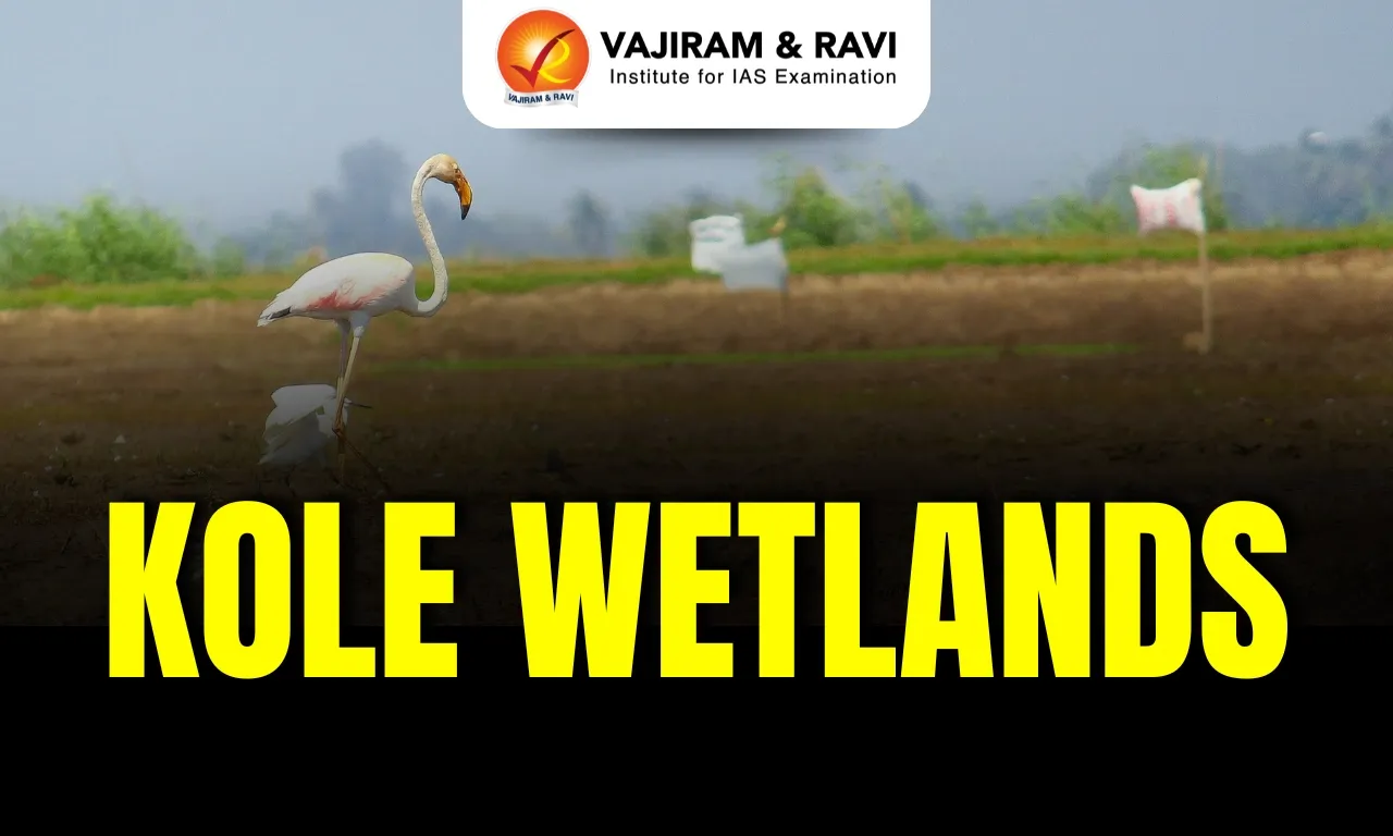 Kole Wetlands