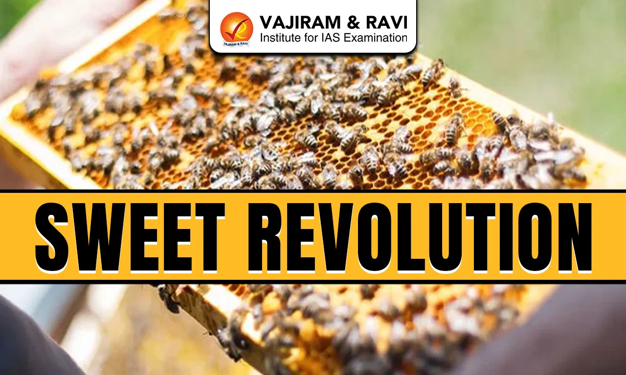 Sweet Revolution