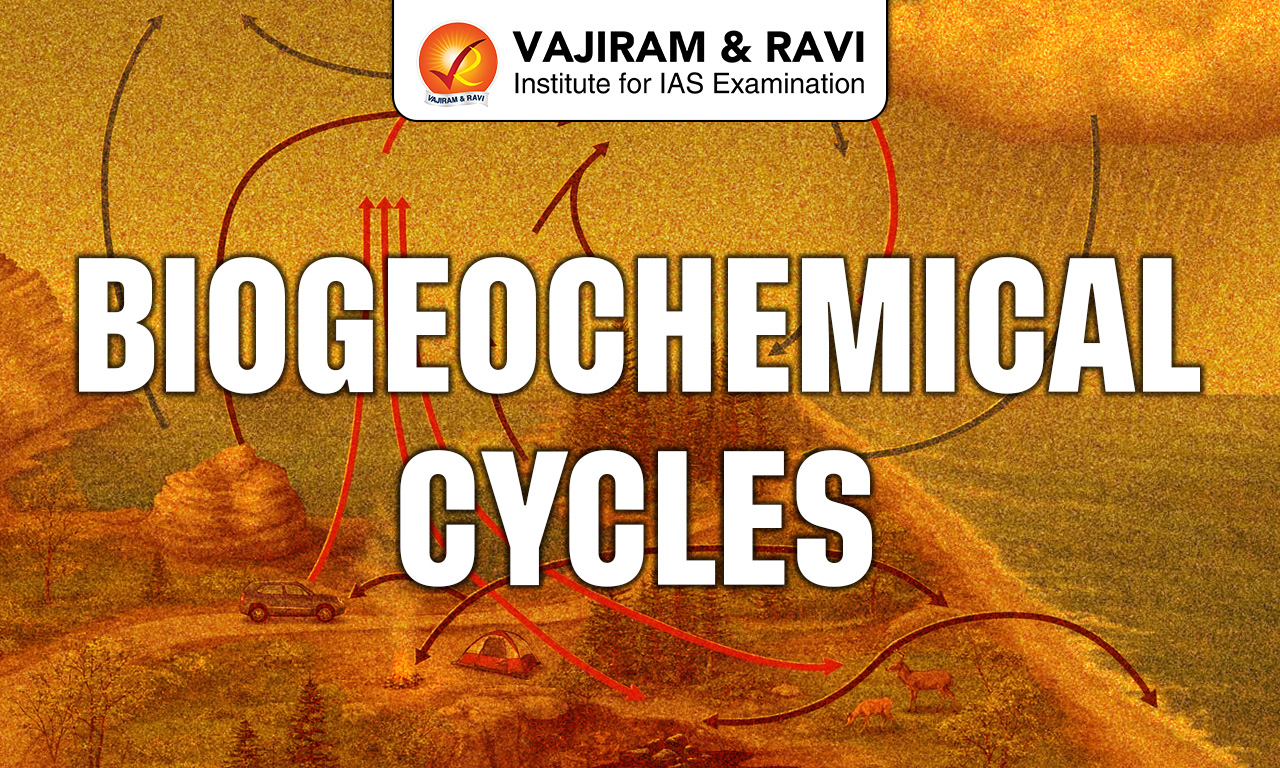Biogeochemical Cycle