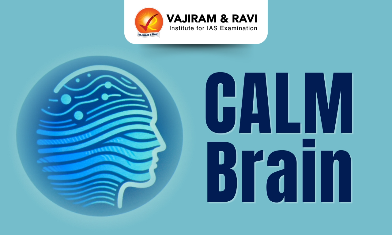 CALM Brain