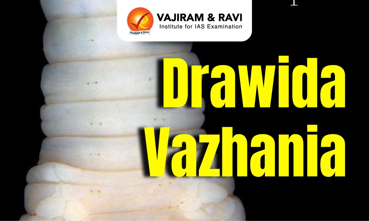 Drawida vazhania