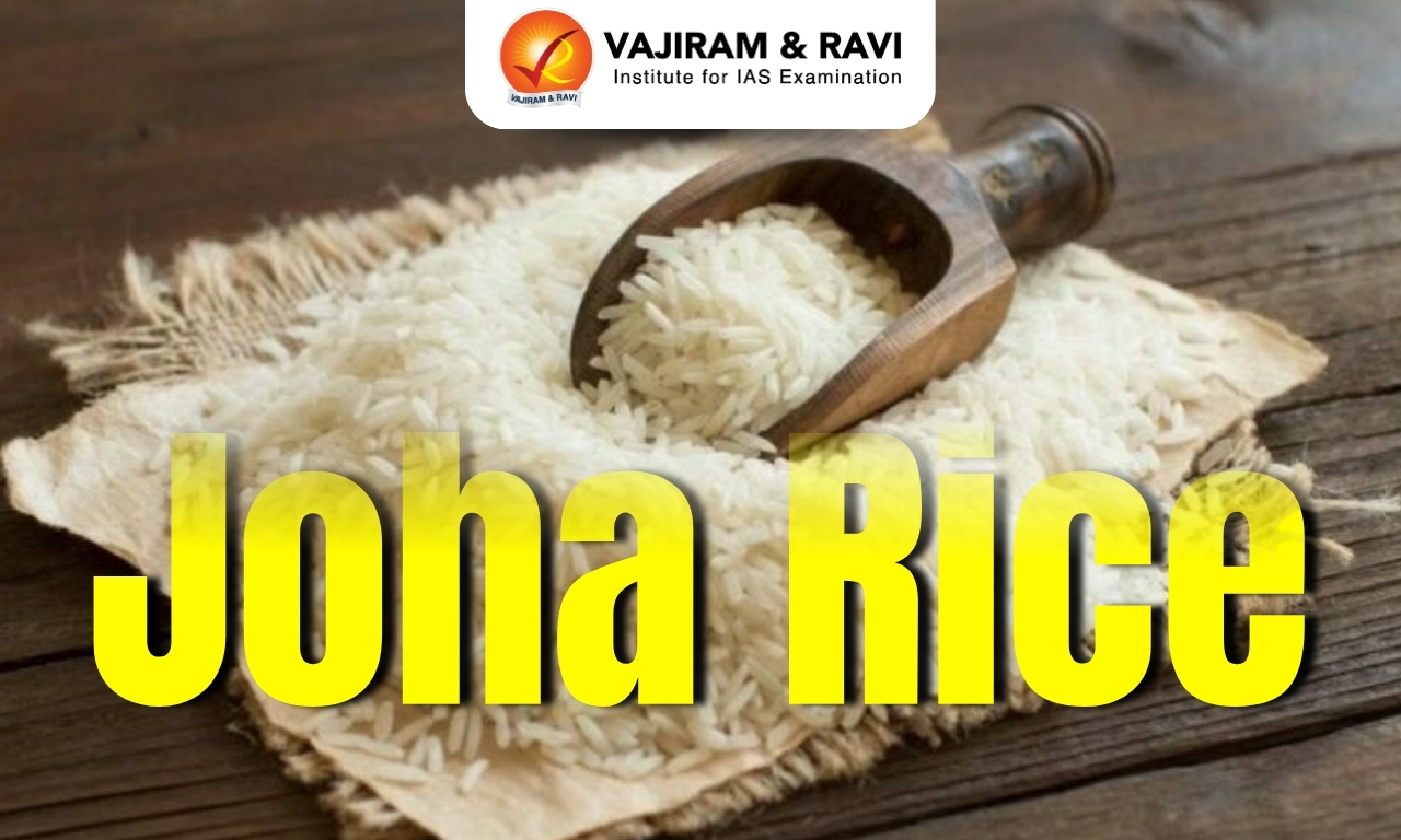Joha Rice