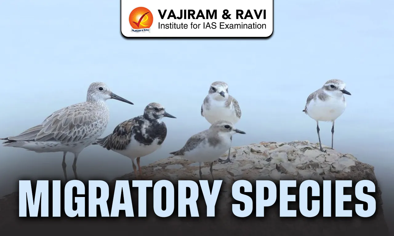 Migratory Species
